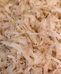 ��ϺƤ������һ�ζ೴Щ�����ڹ����ﴢ�������ȡ