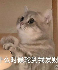 �������ⷿ�Ӳ����ӣ�˫���ǲ��Ƕ������ɺܶࣿ