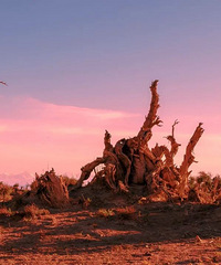 �й����𺳵Ĺ�·��10�ַ�⣬����66�Ź�·�����ʣ�