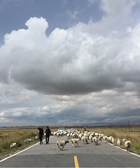 �������й�֮�ຣ������ңԶ�ĵط�������ʳ������