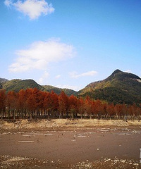 �������δ������ҵ�2019�������϶���̨�ݣ�һ·�����ڴ���Ȼ