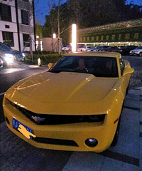 ���������ġ���Ʒ�