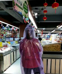 �������ġ������µġ���������