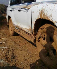 ���������ġ������࣬ԽҰ���Ĳ���