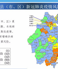 �㽭���á���ɫ�����������أ��С������¹ڷ����������