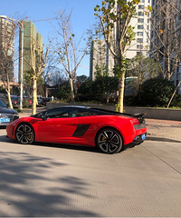 ���������ġ���ɫ��ţ�������簡