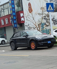 ���������ġ����Ǳ�̥��