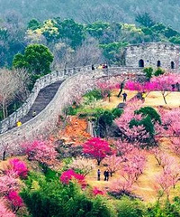 �㲻������÷��̨����10����÷ʥ�أ��⿴ͼƬ�������ˣ�