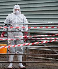 �����ڼ俪�������ˣ����ǻ��������������