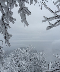 �Ŷ���Сʱ����������С����3��������