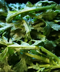 ���ﳴ���