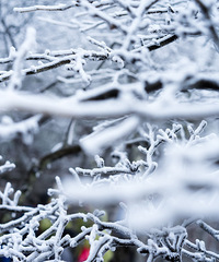 �������δ�������Ҫ�ϻ�ɽ������������װ�ع�