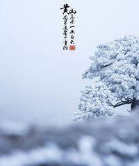 �������δ�������Ҫ�ϻ�ɽ������������װ�ع�