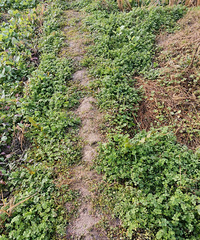 �������ġ��еûţ���Ұ���Ұ��Ҳ���ڹ��ˡ�