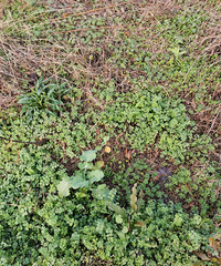 �������ġ��еûţ���Ұ���Ұ��Ҳ���ڹ��ˡ�