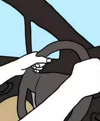 ��ʻ�����У�ͻȻ��̥��ô�죿�����������պ�