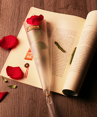 �۸��ᣬ19����������ջ�