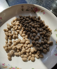 �̲��û���ţ����е��̲�û�����飬�Ǿ��Լ�����