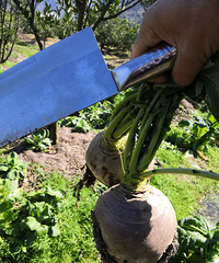 �������ġ��سǸ������Բ����ְ����յ��߲���