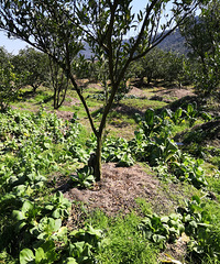 �������ġ��سǸ������Բ����ְ����յ��߲���