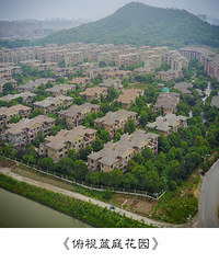 椒江小区摄影大赛,比比哪个小区最美