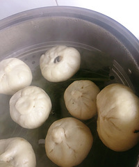 ���ȳ��ȵ�÷�ɲ�����ӣ�������Ӱ��ڸ�