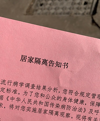 在白名单内也是绿色健康码还是要居家隔离!