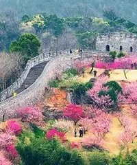 �ų��ǡ������֡����ɾӡ����������¿��ţ�