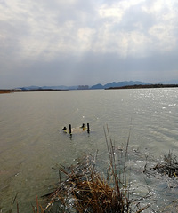 [������]������̤��