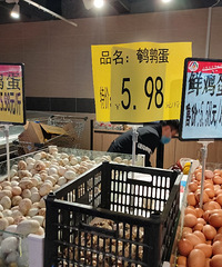 �������ġ�����ʲô����ͨͨһ����