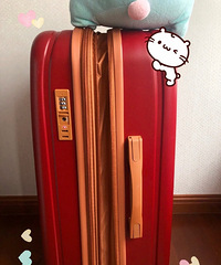 �Ƽ�������ӵĽ�������䣬�ÿ��ֲ�������Ҳ��