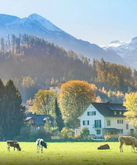 �������Ƚ��������䡢���������ǵ�Ŀ�ĵأ������ڳ����ˣ�