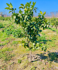 ���ۺ�����4�������