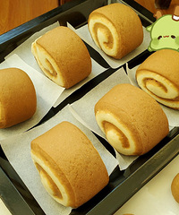 ������ͷ��˫ɫ��ͷ�������������