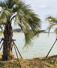 ������󺣸���