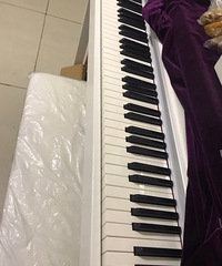 TheONE���ܸ���TOP1���Ӹ���88���ش�����רҵ���˶�