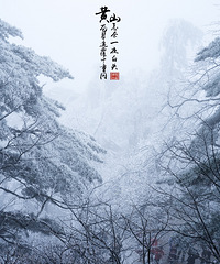 【云旅游大赛】终要上黄山