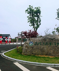 ����ح����������������ָ�����