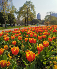 ����㳡�����㿪�ˣ����мǵô��Ͽ���Զ����Ⱥ