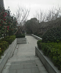 �ӱ���������ߵ����סլҲ�ܲ���������ɢ��Ҳ�ܳ��йŽ���