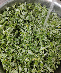 �������ġ����÷