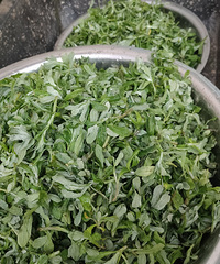 �������ġ����÷