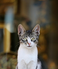 ������������ǧ˵���ң����Ǽ���Ů�Ķ���ô˵