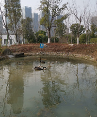 �������δ������ͺϹ�԰��ͺͺ��