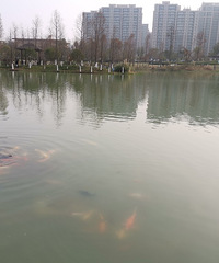 �������δ������ͺϹ�԰��ͺͺ��