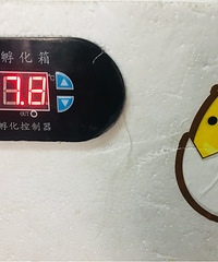 �������ġ���С��������֪���ܲ��ܳ�