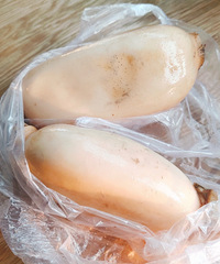 小伙伴们来“盘”糖醋啦