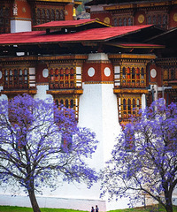 �����������Ҫһ����ȥ����