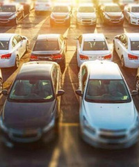 ���������»����أ��й��������������ѣ���ӭ���ȳ���