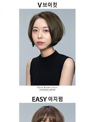 37�ϵ���ͺϼ��ο�